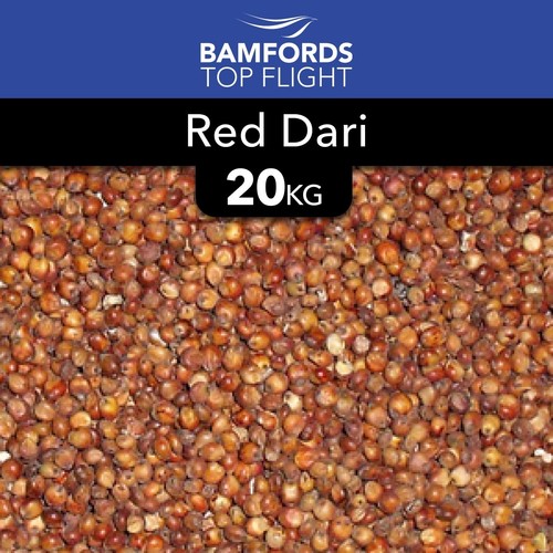 20kg red dari fishing - 20kg, bait