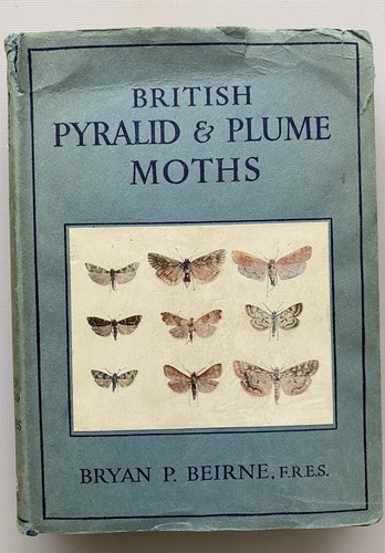 British pyralid and - british,