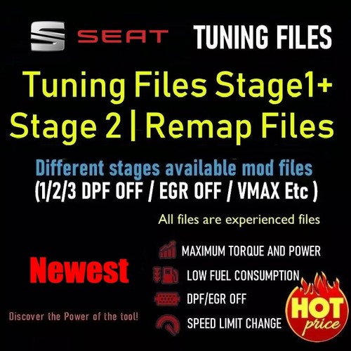 Seat ecu remap - remap, chip