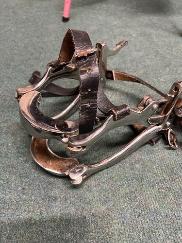 Equine horse dentist speculum - horse,