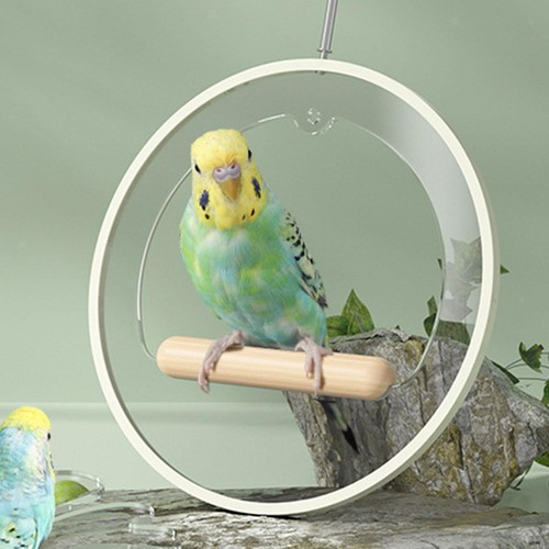 Cage perch parakeets - cage, acrylic