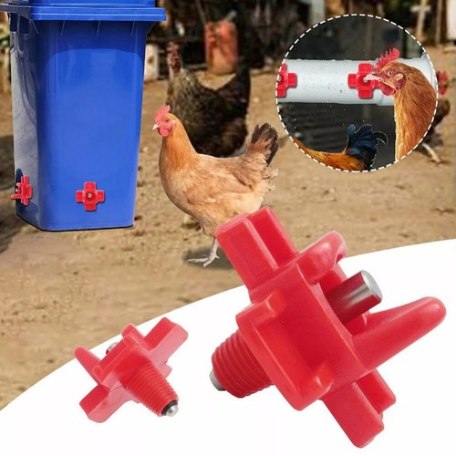 50x horizontal chicken - horizontal,