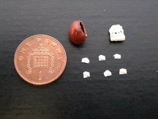 Rare Lucky Elephant Seed Bean