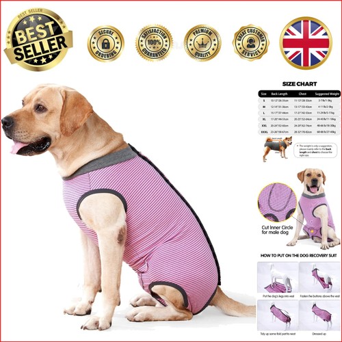 Multi functional dog surgical - dog,