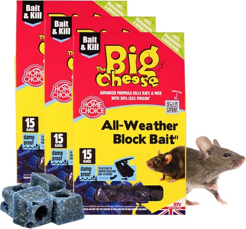 The big cheese all - cheese, all-weather