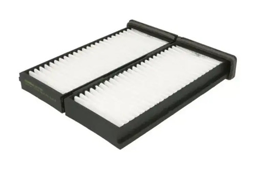 Cabin filter pollen - pollen,