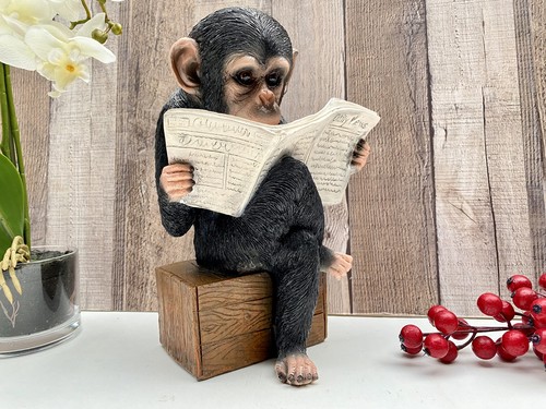 Monkey reading newpaper - monkey,