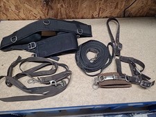 Lunging Joblot,Full Size