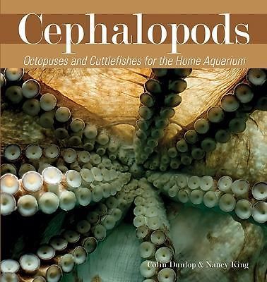 Cephalopods octopuses and - cephalopods,