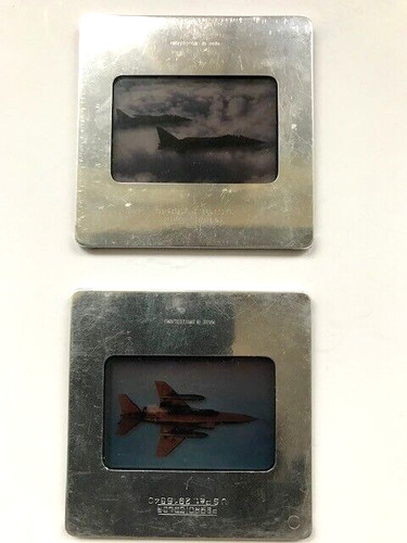 Perro color slides - 2,
