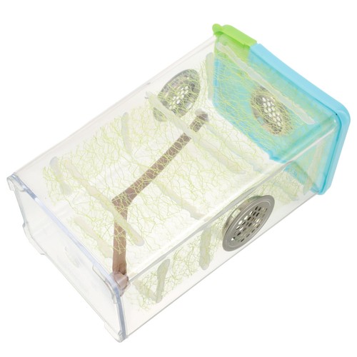 Snail for aquarium - aquarium, container