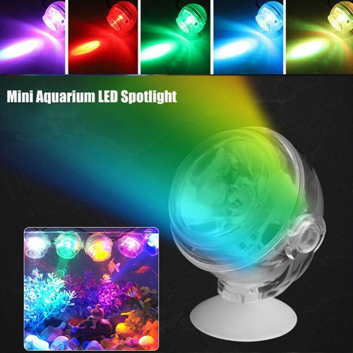 Mini aquarium fish tank - mini,