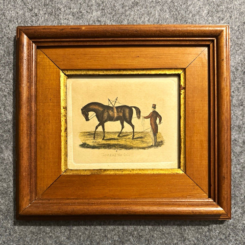 Vintage hand coloured framed - vintage,