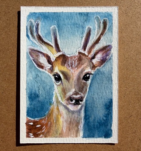 Aceo art card original deer - art,