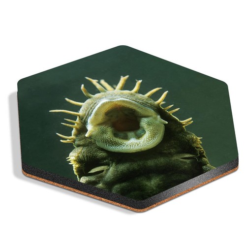 Hexagon mdf coaster - hexagon,