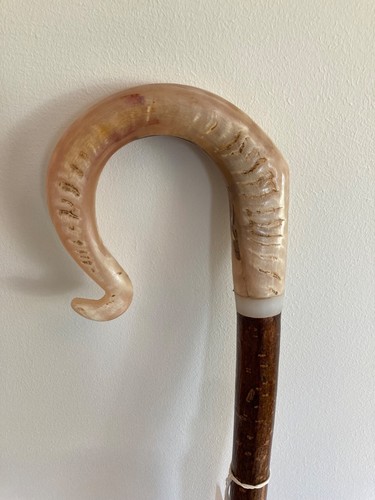 Rams horn crook handle stick - rams,