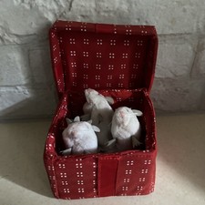 Folkmanis Mice in Red Box