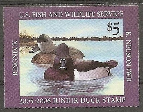 Usa ringbill duck 2005 - usa**ringbill-duck-2005, junior