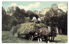 Early 1900's Postcard Horse-Drawn Hay Wagon Farming Scene