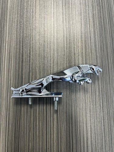 Genuine jaguar leaping cat - jaguar,