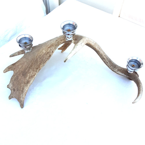 Fallow deer antler candlestick - antler,