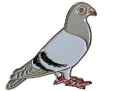 Racing Homing Carrier Pigeon