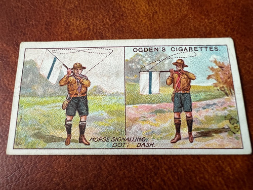 Ogdens boy scouts 2nd - boy,
