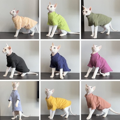 Sphynx cat clothes - clothes,winter, warm