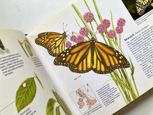 Reader digest nature - reader’s,