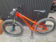 Red Norco Fluid 4.3+ kids mountain bike