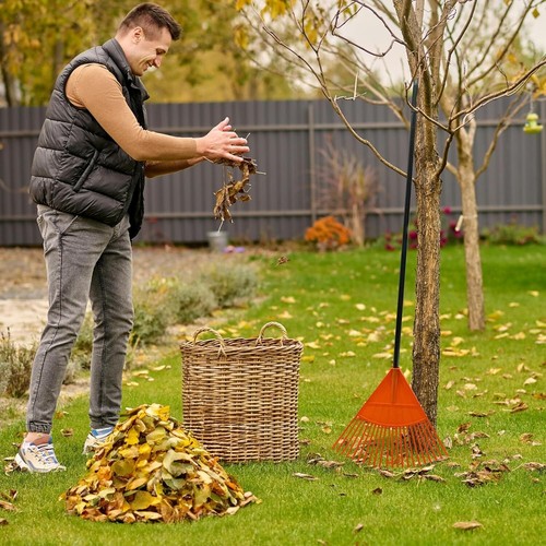 Tooth leaf rake garden lawn - leaf,