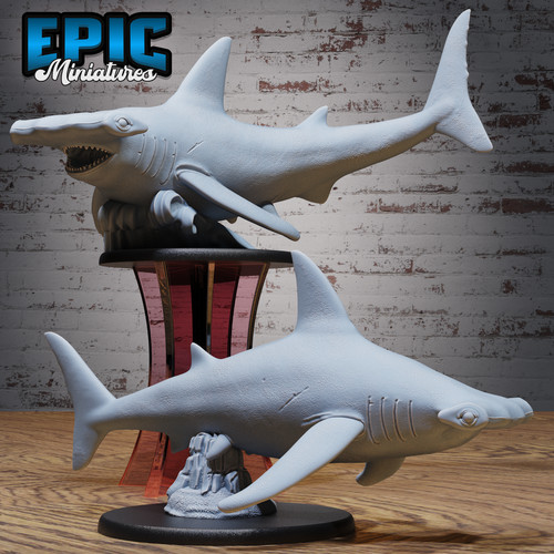 Hammerhead shark print d - 3d, d&d