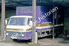 THH Truck Photos - Ford D