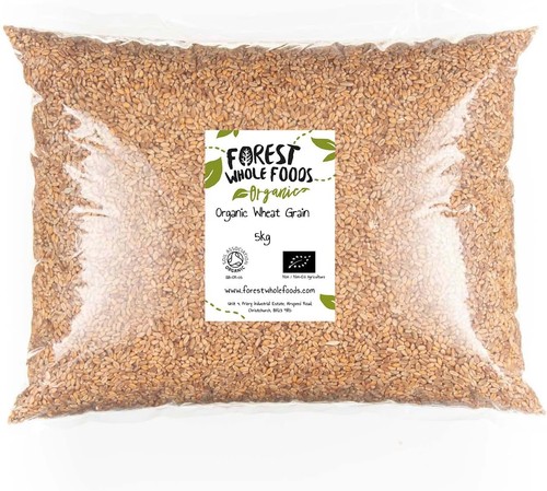 Organic wheat grain forest - grain,