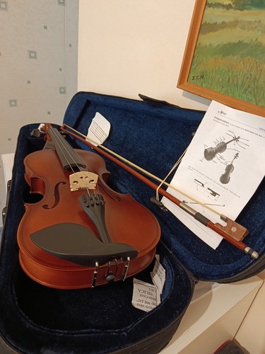 Alien violin full size - violin, 4/4