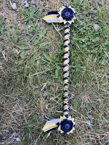 Velvet showing browband - velvet,