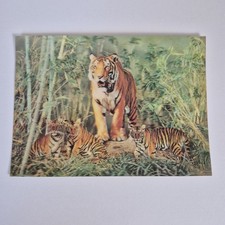 Vintage Stereo Lenticular 3D
