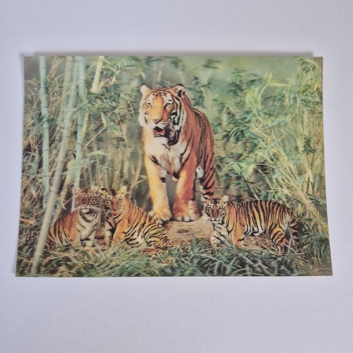Vintage stereo lenticular - lenticular, 3d