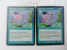 2x Chambered Nautilus