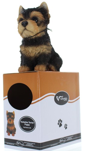 Vivid arts yorkshire terrier - vivid,