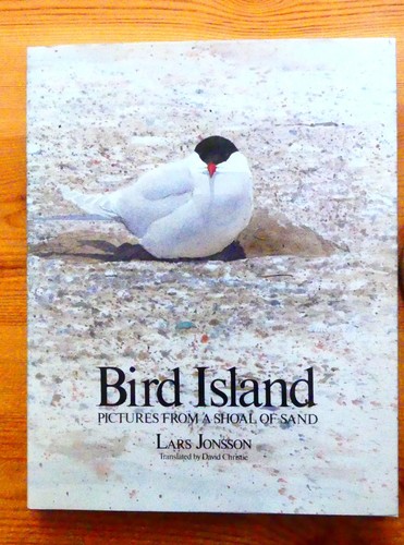 Bird island pictures from - island:,