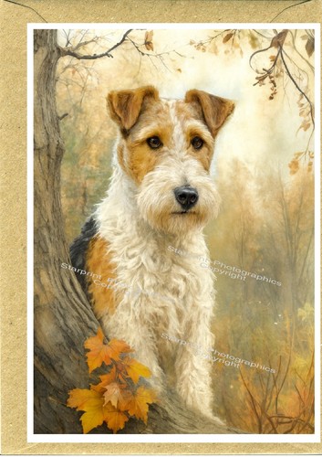 Wire fox terrier - fox, dog