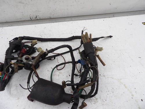 Honda 500r loom - xl,