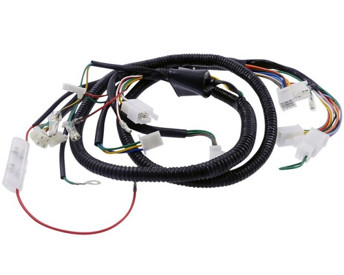 Main wiring harness 12v for - wiring,