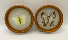 Vintage Pressed Butterfly