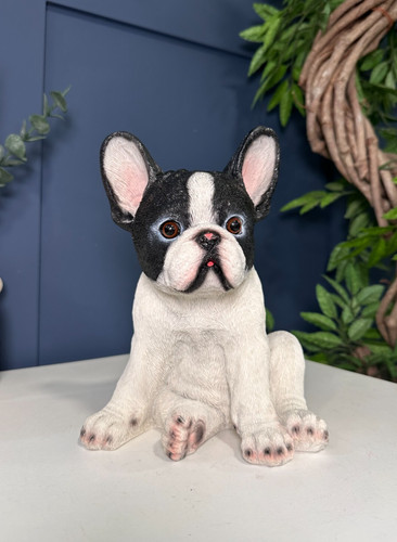 Cute puppy french bulldog - cute,
