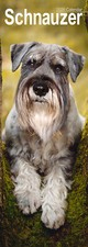 Schnauzer Slim 2026 Calendar | Slimline Dog Breed Gift 15% OFF MULTI ORDERS