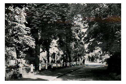 Rt0175 woodfield lane - rt0175,