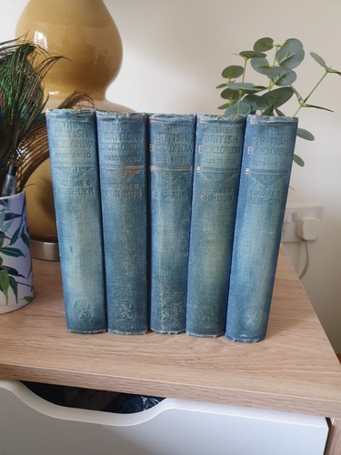 Antique blue books - blue, x5