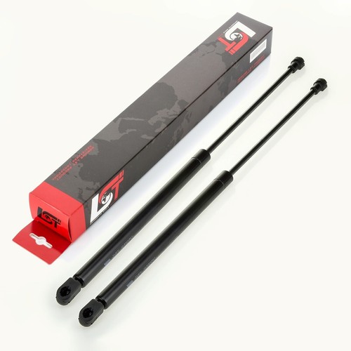Gas spring lifter tailgate - 2x,